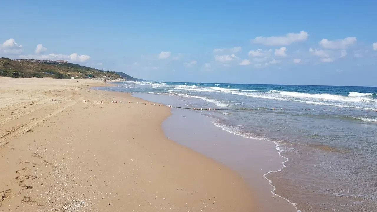 İstanbul'un deniz suyu en temiz plajları belli oldu: İşte gönül rahatlığıyla yüzebileceğiniz 67 lokasyon