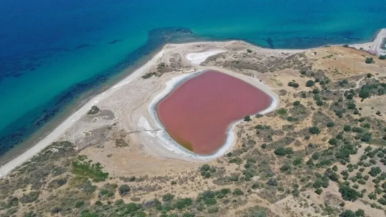 Kalpli Göl ne zaman pembe olur?