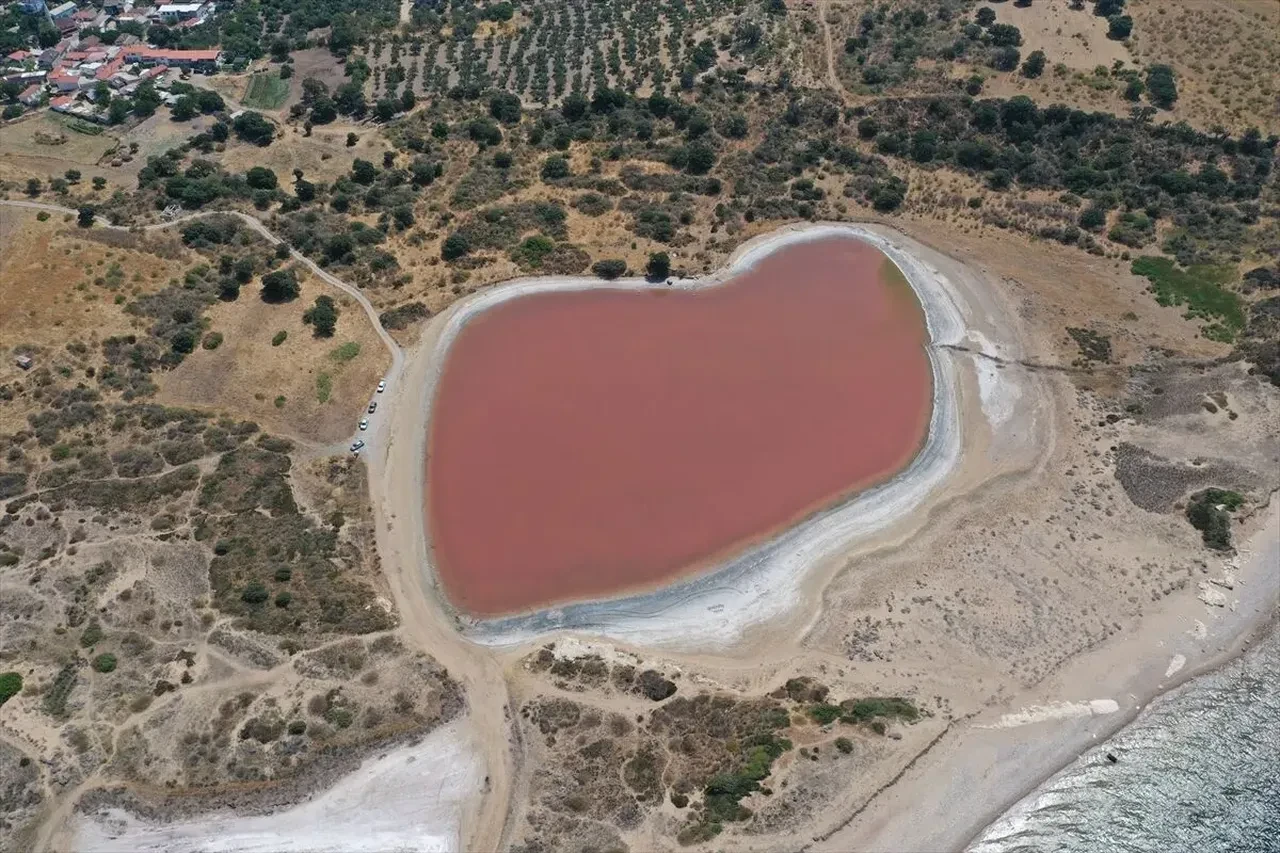 Kalpli Göl ne zaman pembe olur?