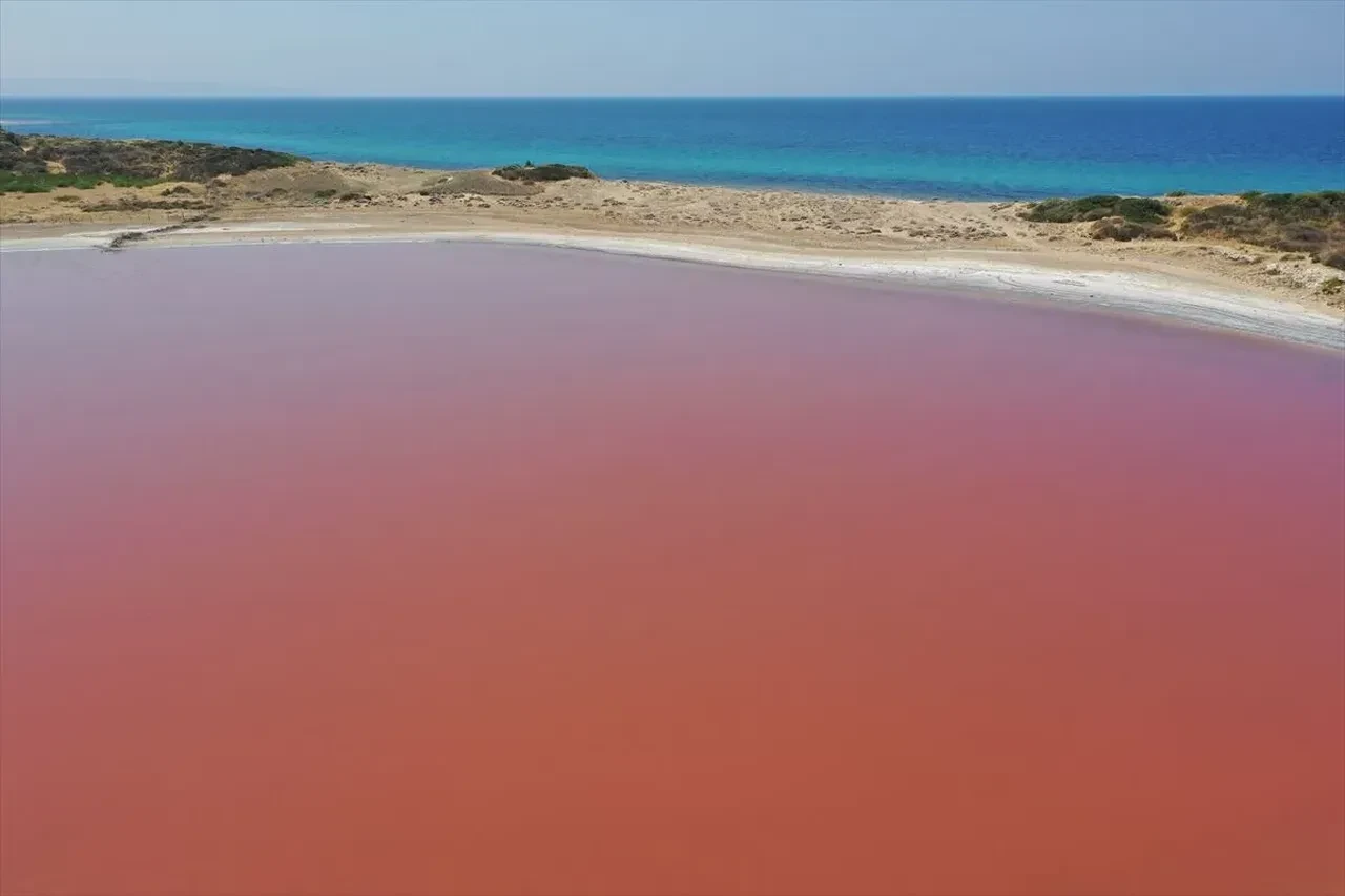 Kalpli Göl ne zaman pembe olur?