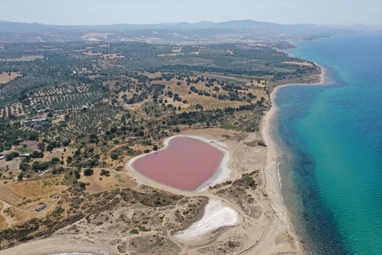 Kalpli Göl ne zaman pembe olur?
