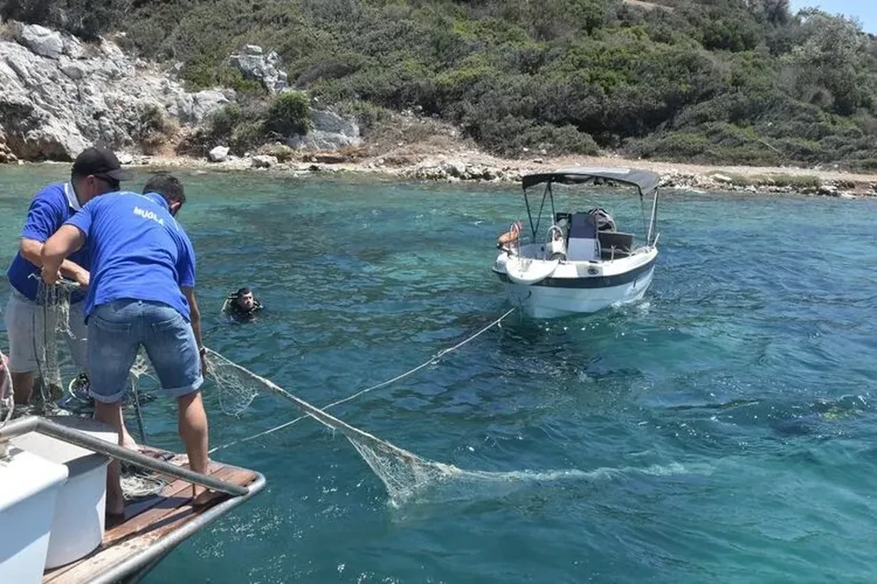 Bodrum Mavi Marlin balığı avlama cezası kaç TL?