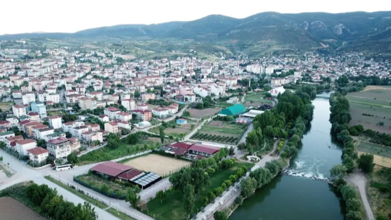 Dev çekirgeler hangi illerde görüldü? Halkı paniğe sürüklediler! İşte dev çekirgelerin görüldüğü şehirler