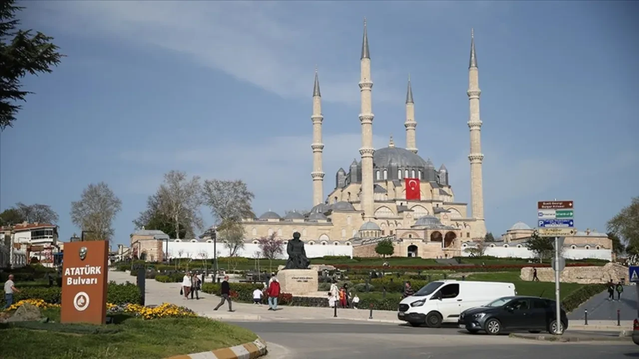 Dev çekirgeler hangi illerde görüldü? Halkı paniğe sürüklediler! İşte dev çekirgelerin görüldüğü şehirler