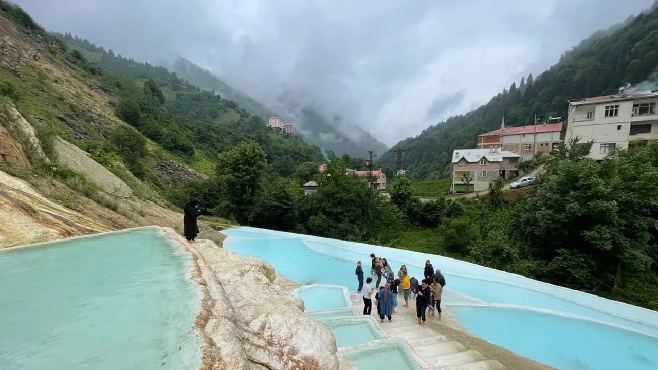 Dev çekirgeler hangi illerde görüldü? Halkı paniğe sürüklediler! İşte dev çekirgelerin görüldüğü şehirler