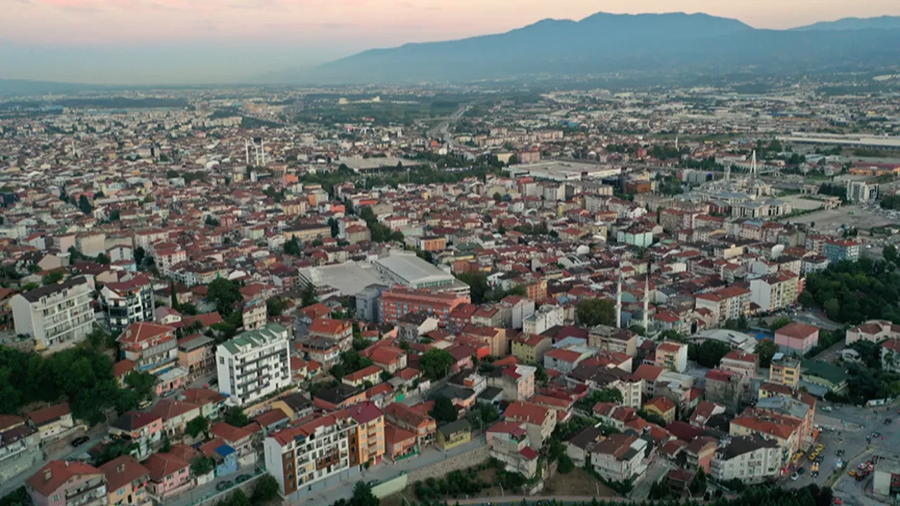 Dev çekirgeler hangi illerde görüldü? Halkı paniğe sürüklediler! İşte dev çekirgelerin görüldüğü şehirler