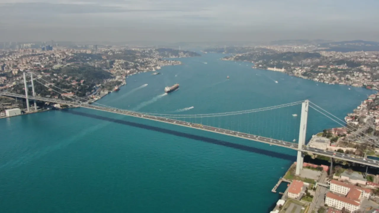 Dev çekirgeler hangi illerde görüldü? Halkı paniğe sürüklediler! İşte dev çekirgelerin görüldüğü şehirler