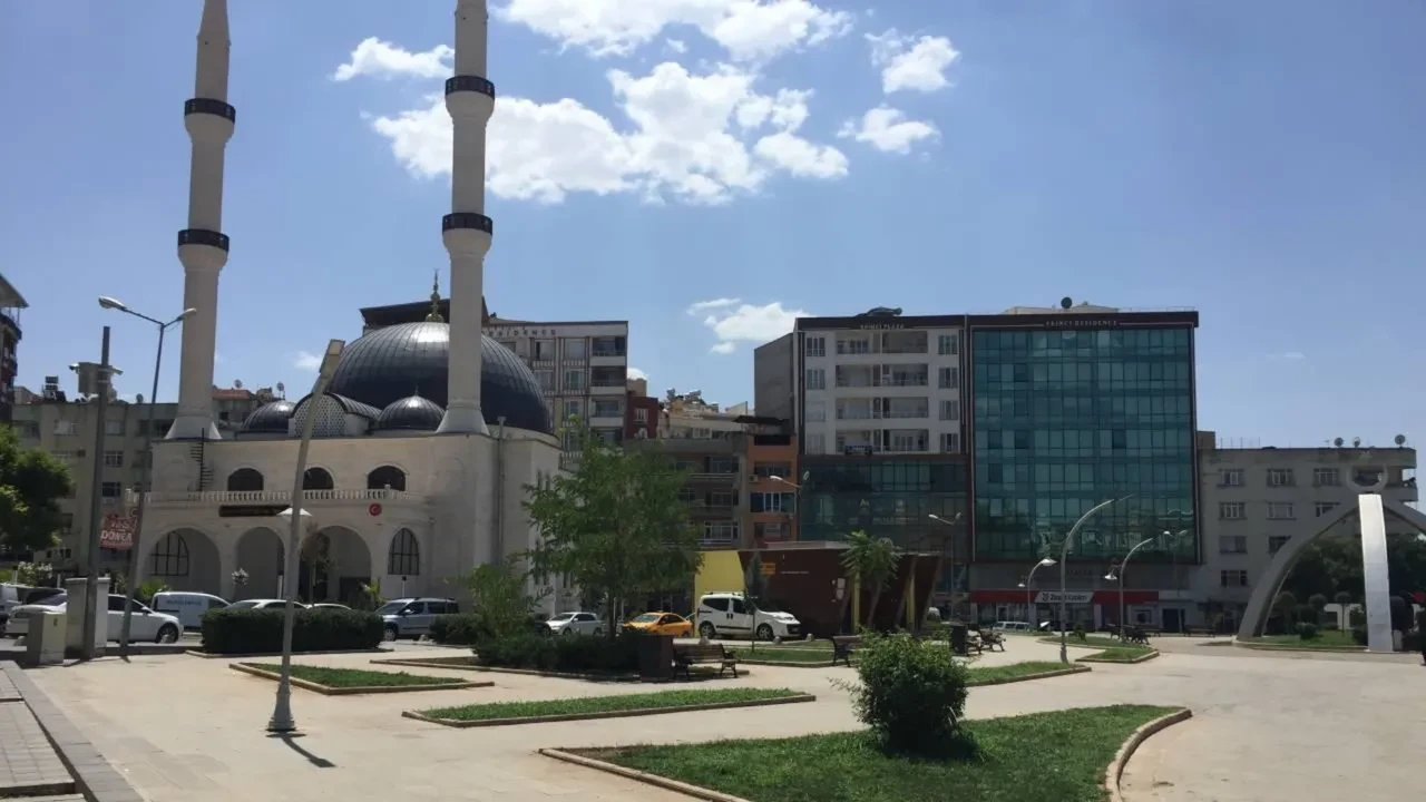 Dev çekirgeler hangi illerde görüldü? Halkı paniğe sürüklediler! İşte dev çekirgelerin görüldüğü şehirler