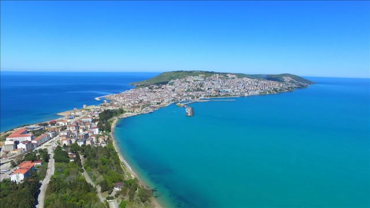 Dev çekirgeler hangi illerde görüldü? Halkı paniğe sürüklediler! İşte dev çekirgelerin görüldüğü şehirler