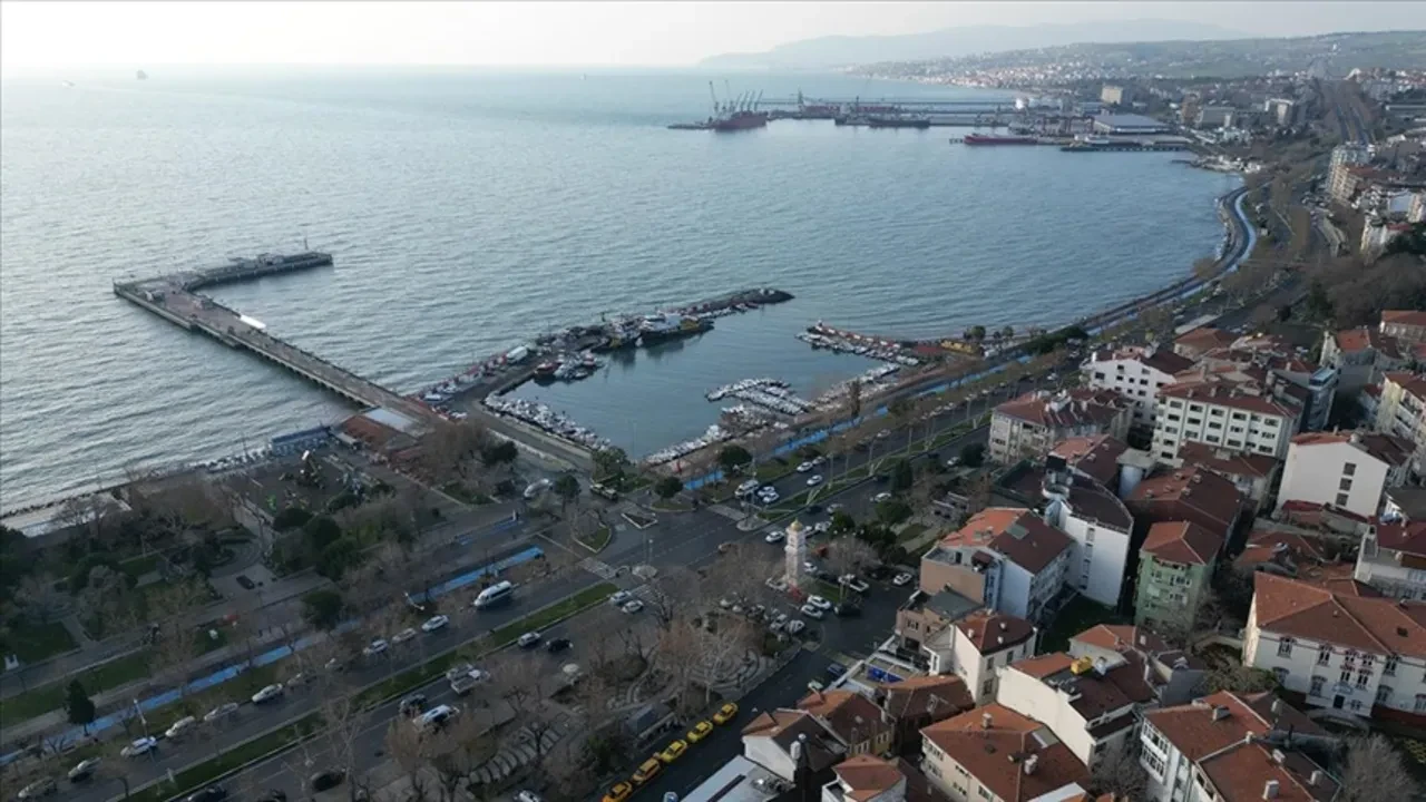 Dev çekirgeler hangi illerde görüldü? Halkı paniğe sürüklediler! İşte dev çekirgelerin görüldüğü şehirler