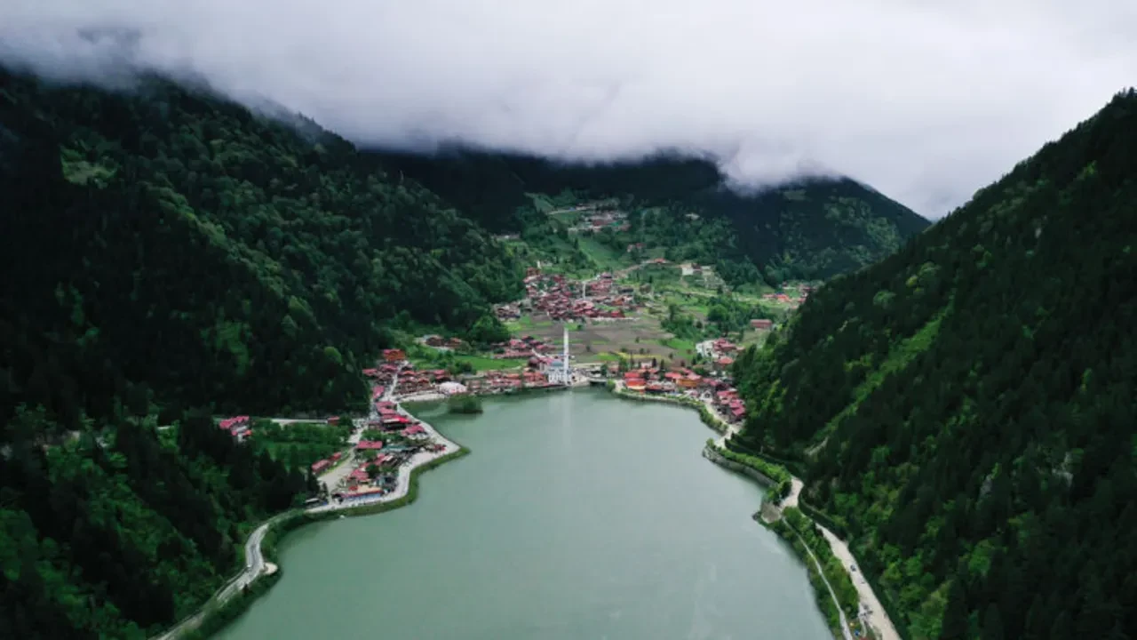 Dev çekirgeler hangi illerde görüldü? Halkı paniğe sürüklediler! İşte dev çekirgelerin görüldüğü şehirler