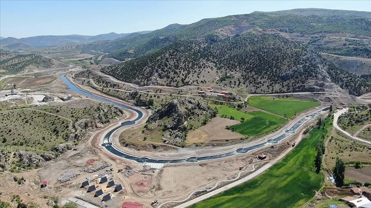 Dev çekirgeler hangi illerde görüldü? Halkı paniğe sürüklediler! İşte dev çekirgelerin görüldüğü şehirler
