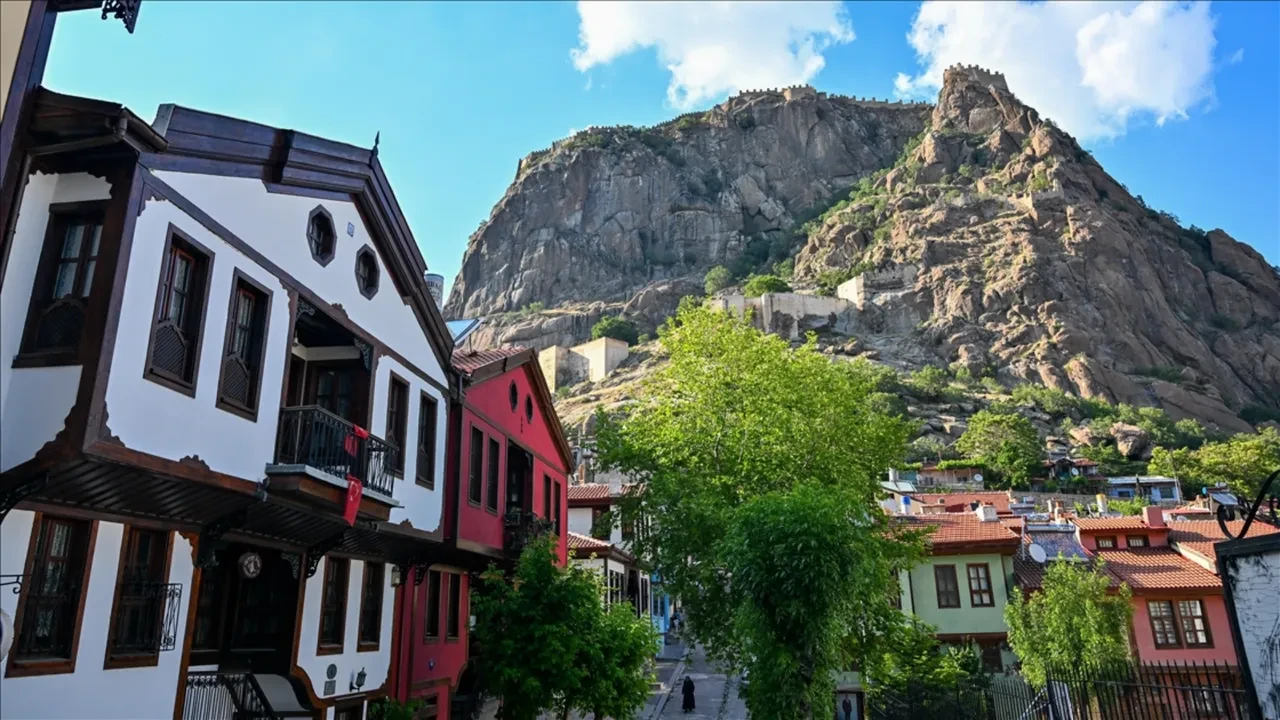 Dev çekirgeler hangi illerde görüldü? Halkı paniğe sürüklediler! İşte dev çekirgelerin görüldüğü şehirler