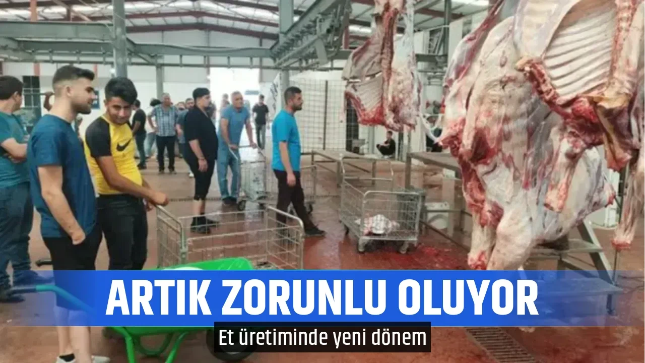 ARTIK ZORUNLU OLUYOR