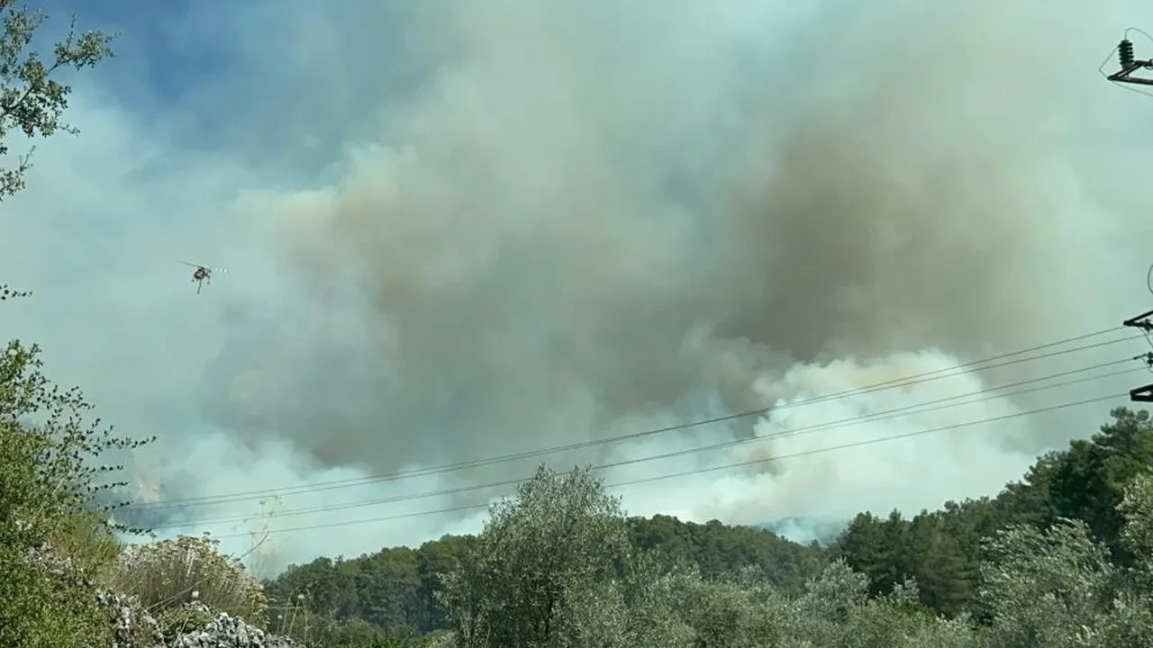 Muğla Fethiye'de yangın! 1 mahalle tahliye edildi, alevler saatler sonra kontrol altında
