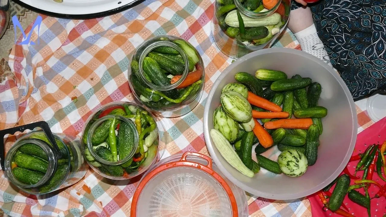 Kış hazırlıkları başladı! Mini patlıcan turşusu için kolları kıvırın