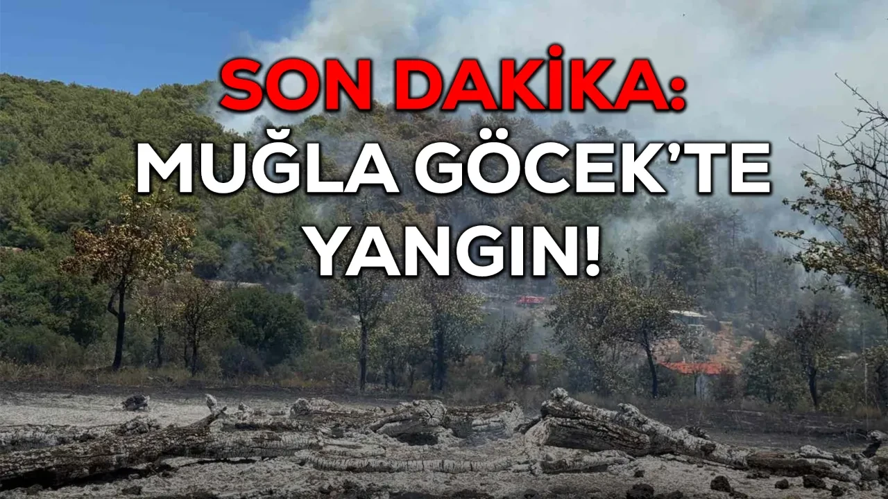 Muğla Göcek yangın son dakika! Fethiye Göcek yangın söndürüldü mü?