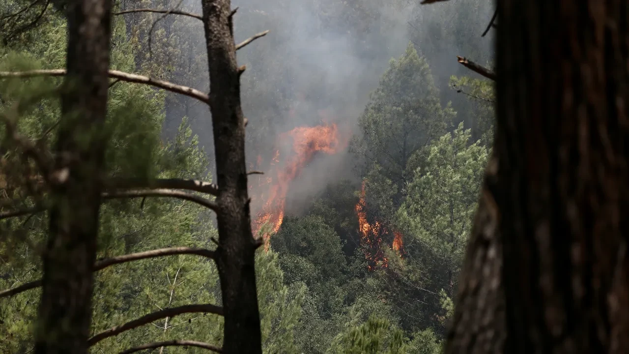 Muğla’da orman yangını! Havadan ve karadan müdahale ediliyor