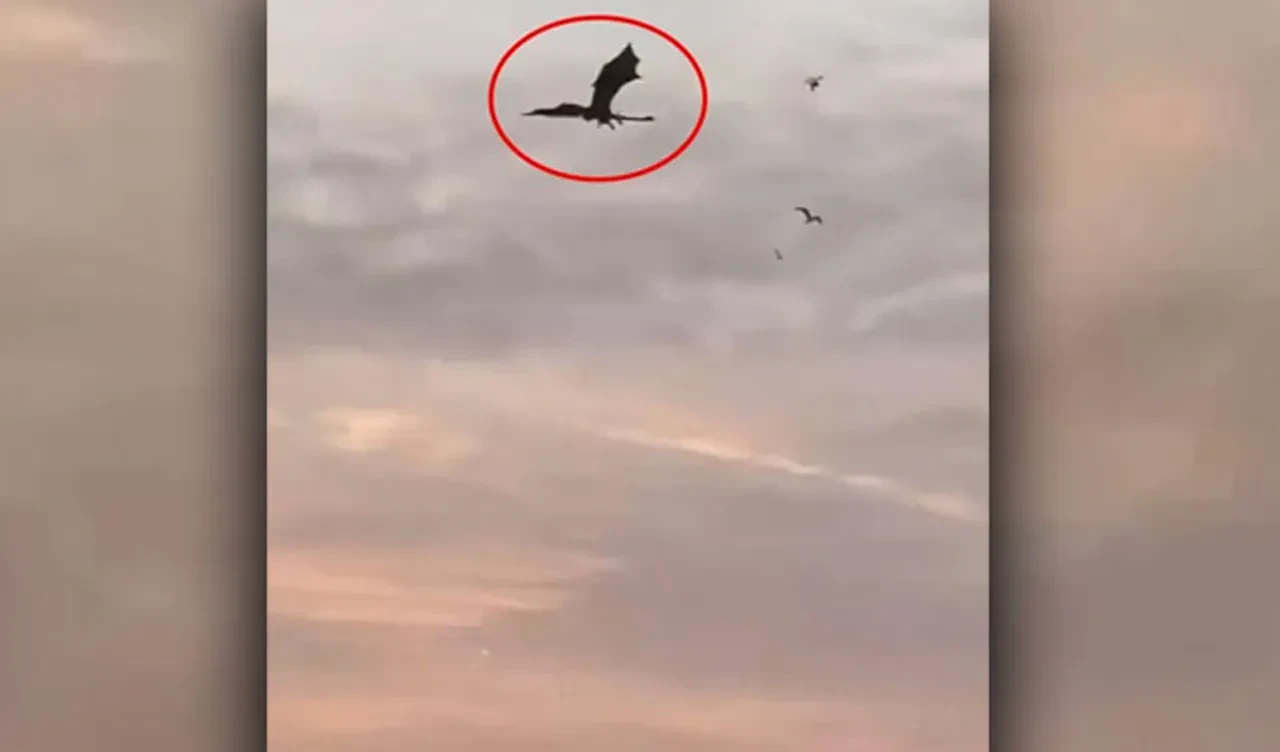Gökyüzündeki dev ejderha herkesi şaşkınlığa uğrattı, sırrı çözüldü