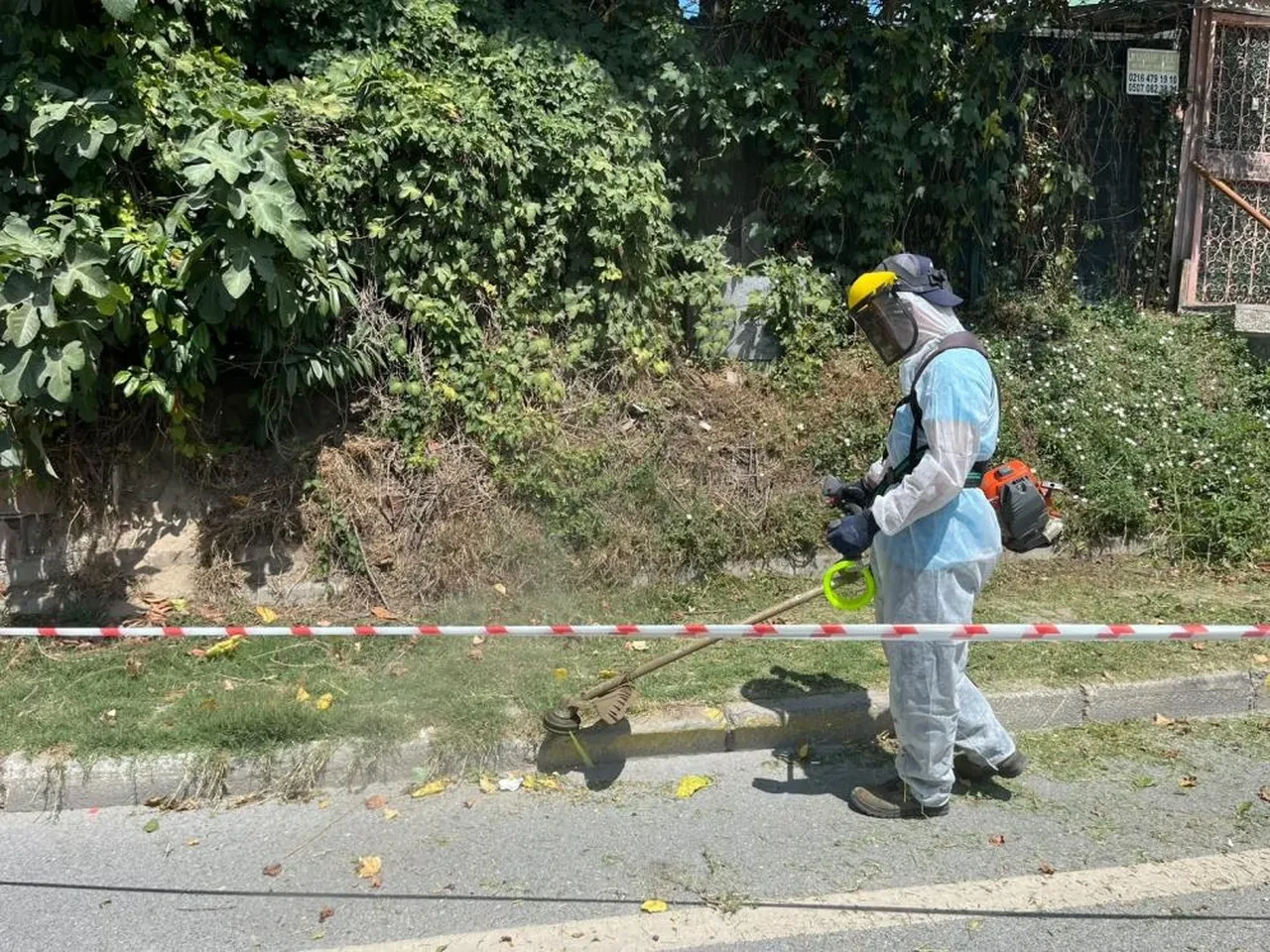 İBB ilgilenmedi, Beykoz Belediyesi devreye girdi!