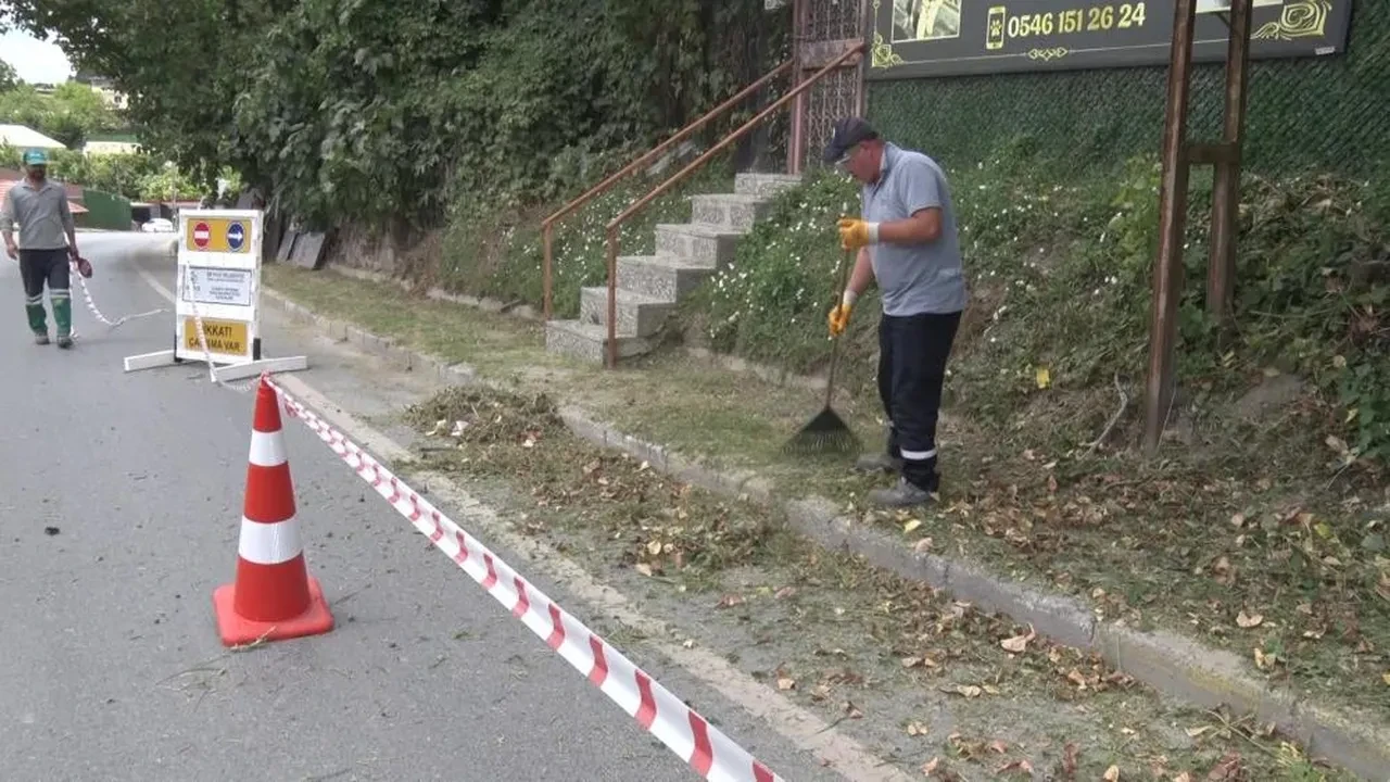 İBB ilgilenmedi, Beykoz Belediyesi devreye girdi!