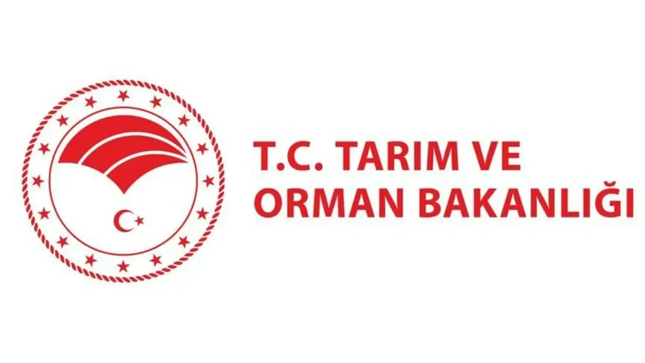 Temmuz 2026 tağşiş listesi: Tarım ve Orman Bakanlığı Taklit-Tağşiş listesini güncelledi! İşte hileli gıdalar listesine giren markalar ve ürünler...