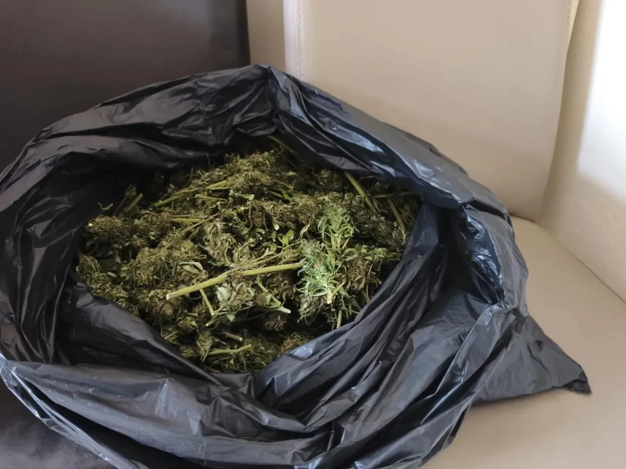 Ünlü yönetmen Ezel Akay ve kardeşi gözaltına alındı