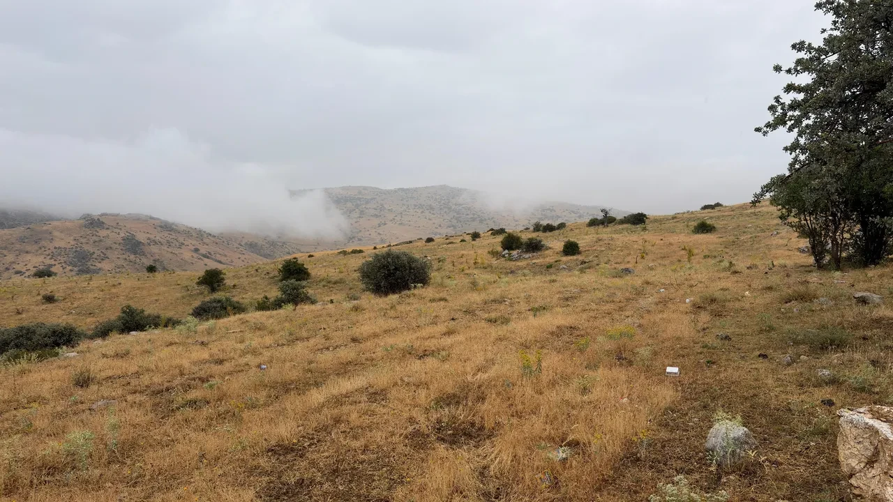 Ankara'da yıldırım felaketi! Evden çıktıktan 5 dakika sonra hayatını kaybetti
