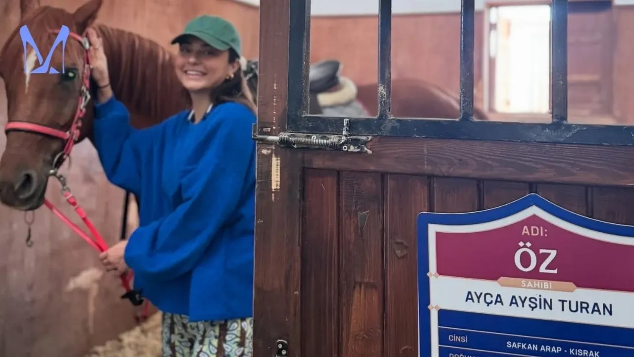 Ayça Ayşin Turan'ın 'Öz' adındaki atı sosyal medyada gündem oldu! Değeri dudak uçuklattı