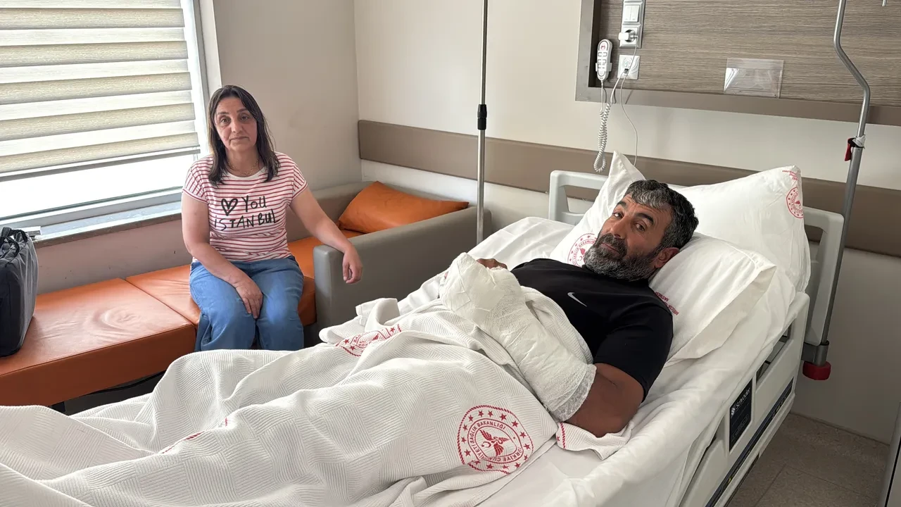 Ayçiçeği tarlasında ayı saldırısı! Kürekle dakikalarca mücadele etti