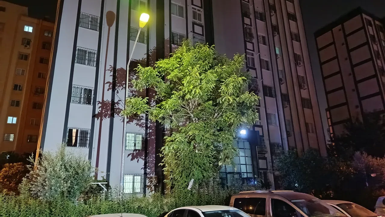 Boşanmak isteyen eşine uykuda pusu kurdu: Cinayet büro dedektifleri yakaladı