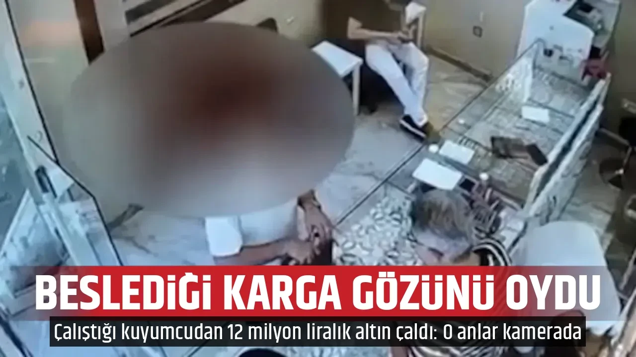 BESLEDİĞİ KARGA GÖZÜNÜ OYDU