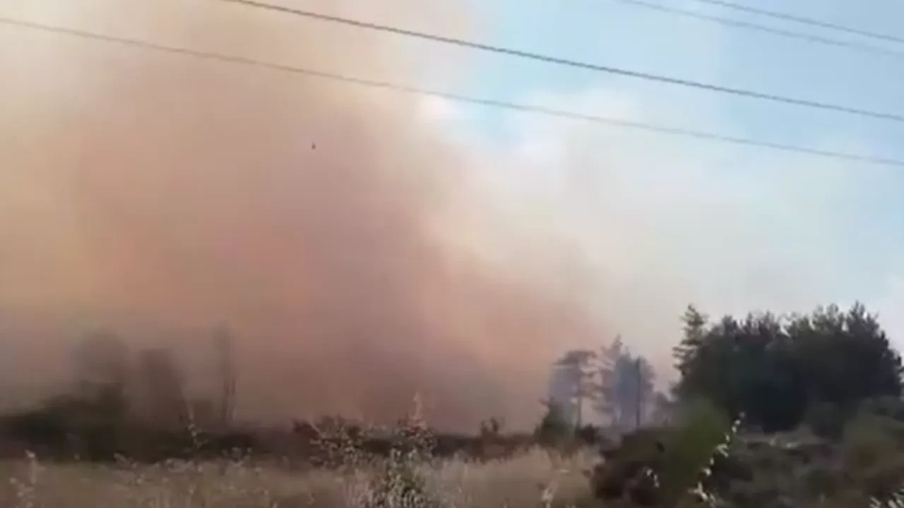 Muğla'da orman yangını