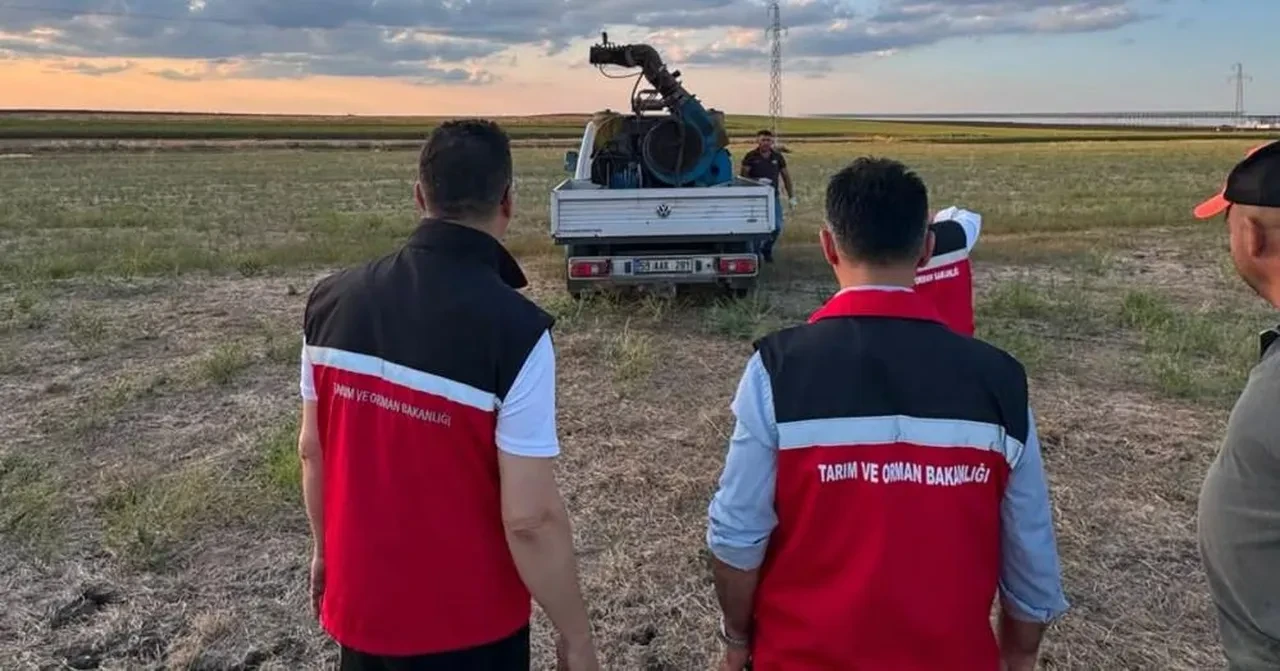 Tekirdağ'da çekirge önlemi! Üreme alanları ilaçlandı