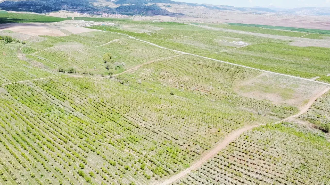 Bir köyün kaderini değiştiren proje! İşsizlik bitti, göç durdu: Gidenler bile geri dönüyor