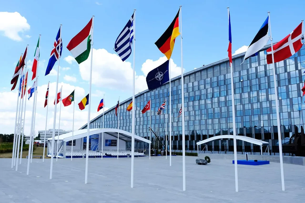 NATO stajyeri ajan çıktı! Üçüncü ülke adına casusluktan tutuklandı