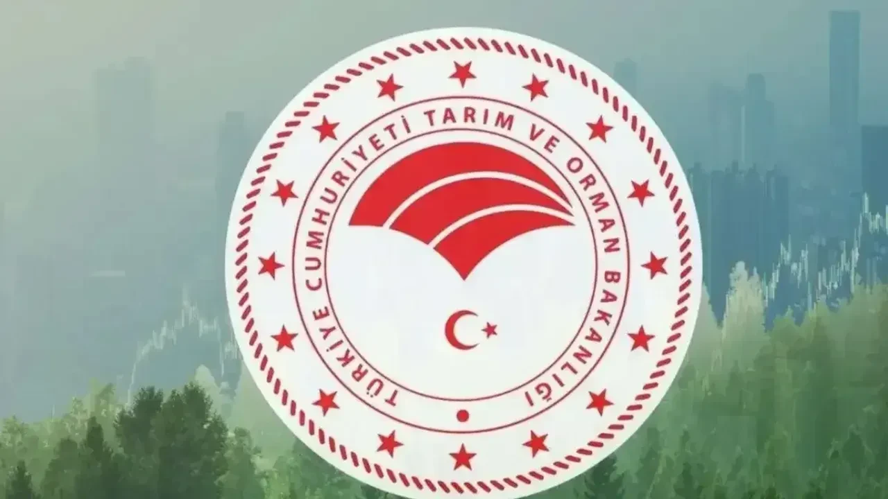Tarım ve Orman Bakanlığı 1.874 personel alımı yapılacak iller ve kadrolar! Tarım ve Orman Bakanlığı personel alımı başvuru ekranı