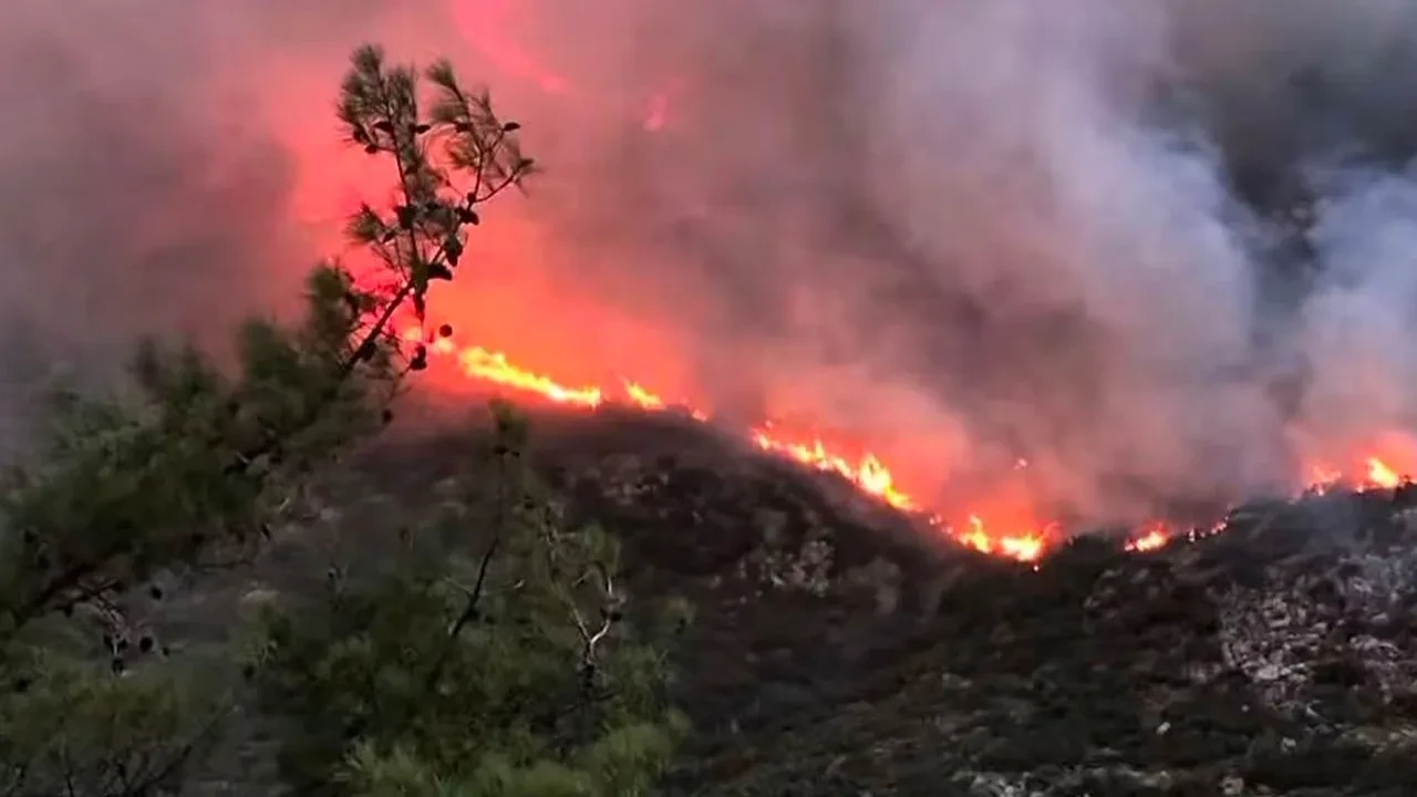 Antalya’nın Kaş ilçesinde orman yangını! Havadan ve karadan müdahale başladı 