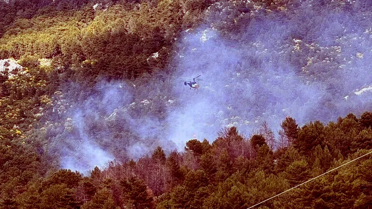 Antalya’nın Kaş ilçesinde orman yangını! Havadan ve karadan müdahale başladı 