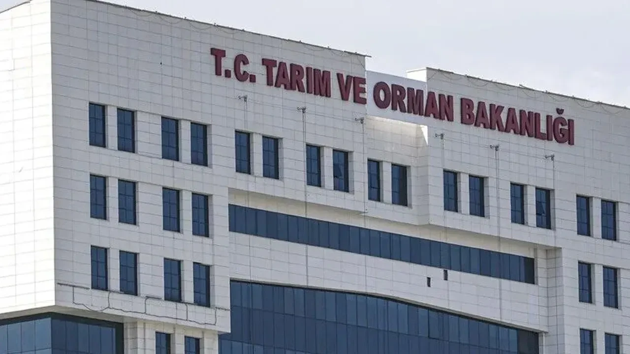 İthal edilecek ürünler düzenlendi! Karar Resmi Gazete'de yayımlandı