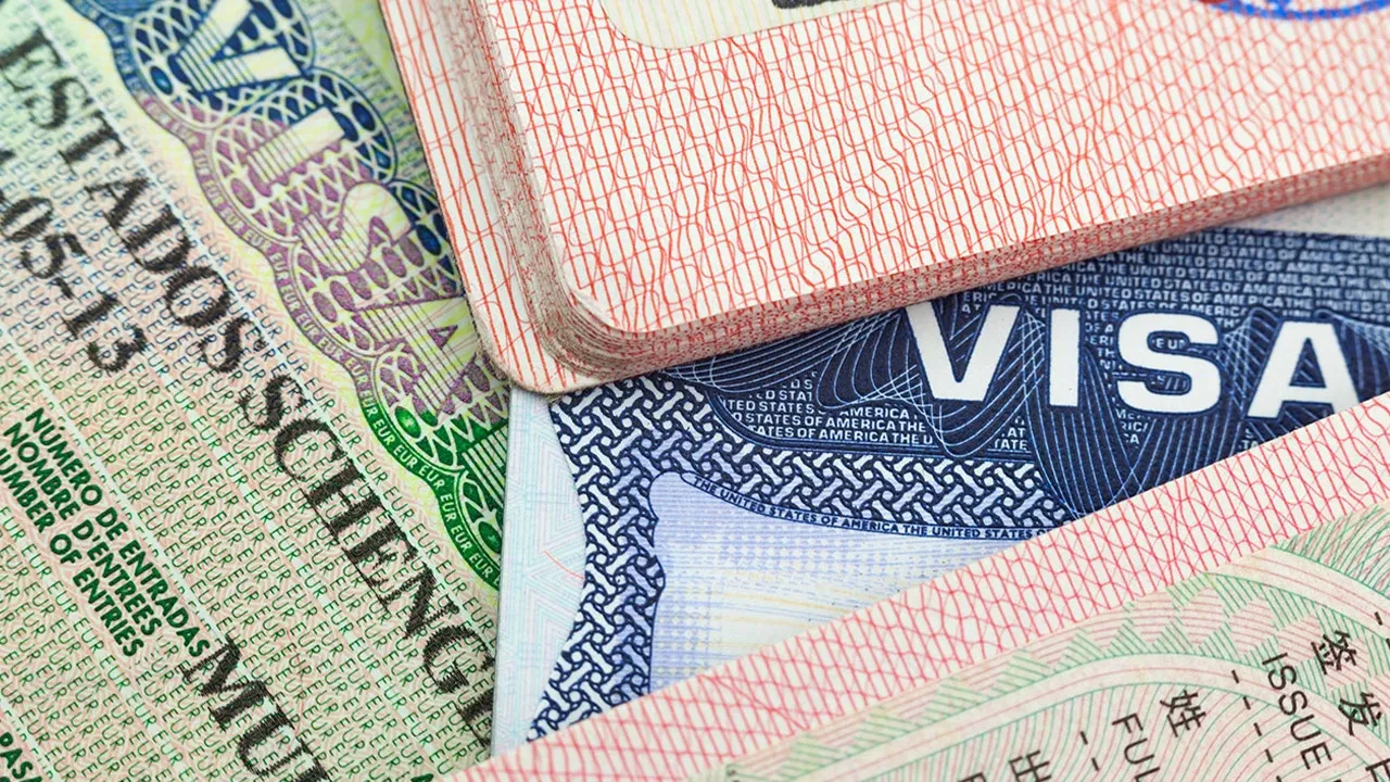 Sahte site ile vize başvurusu yapan vatandaşları dolandırdılar! 10 ildeki operasyonla çete çökertildi