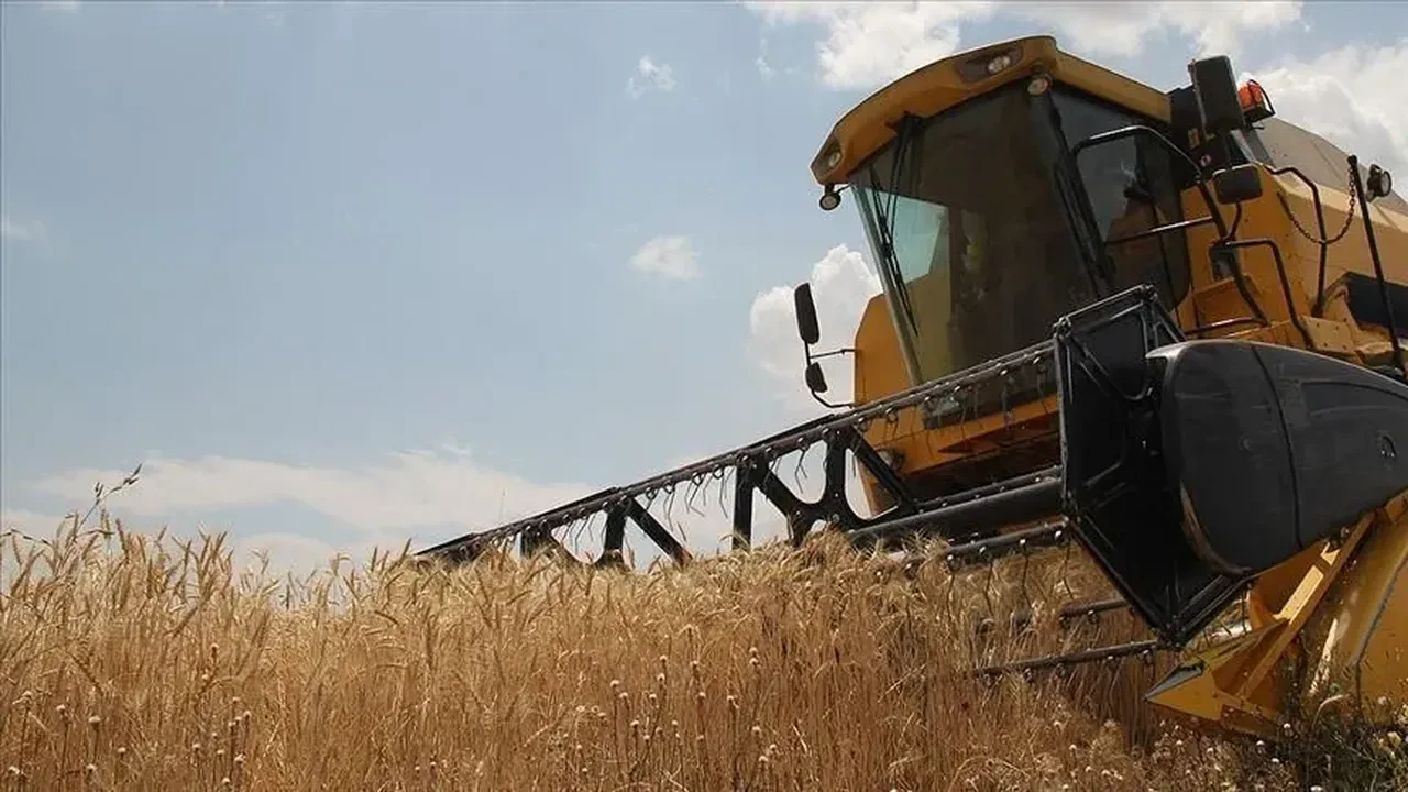 16 aylık yasak kalktı! Ekmeklik buğday ihracatı serbest bırakıldı