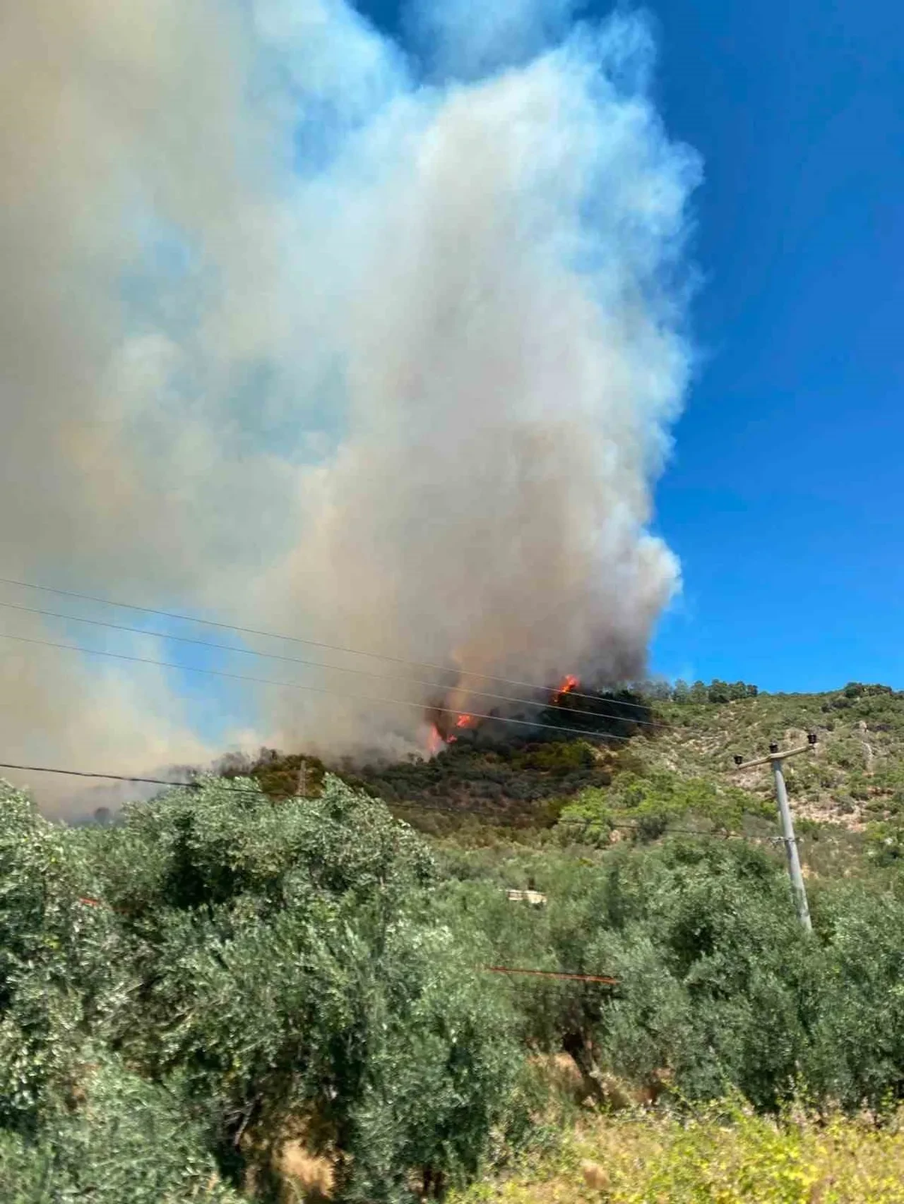 Altınoluk yangın SON DAKİKA! 29 Temmuz Kaş, Seydikemer, Altınoluk yangın söndürüldü mü?