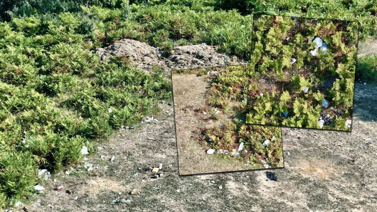 İstanbul'da skandal görüntü! Yasağa rağmen ormana girip çöplüğe çevirdiler