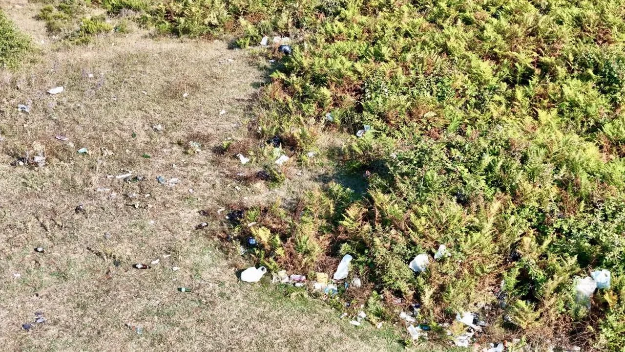 İstanbul'da skandal görüntü! Yasağa rağmen ormana girip çöplüğe çevirdiler