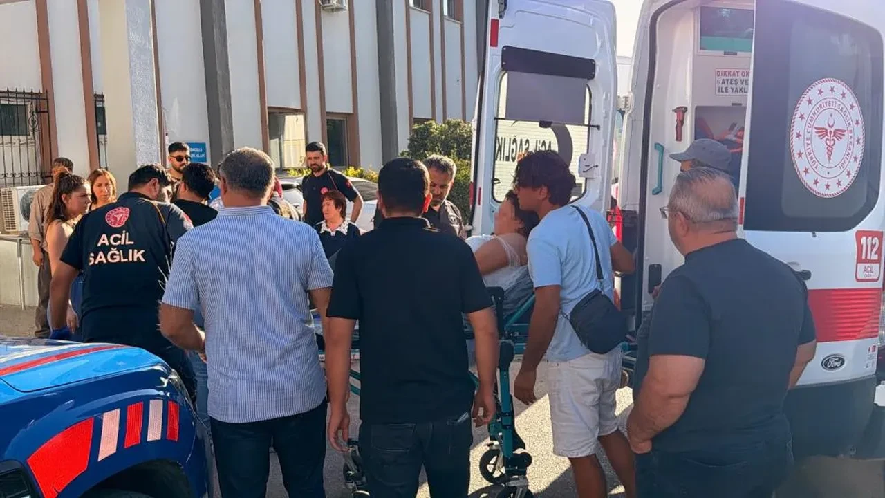 Nemrut Dağı'na giden tur minibüsü şarampole devrildi: 14 yaralı