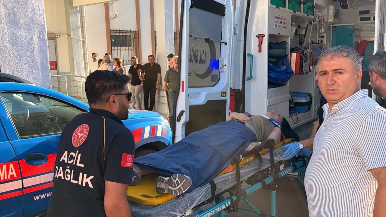 Nemrut Dağı'na giden tur minibüsü şarampole devrildi: 14 yaralı