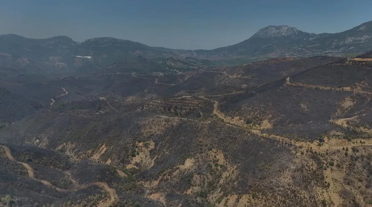 Alanya'da yürek burkan tablo! Alevlerin yok ettiği yerler havadan görüntülendi