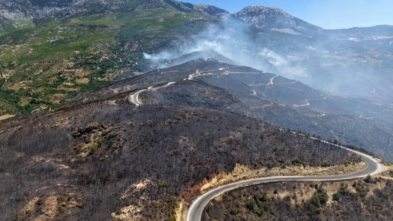 Alanya'da yürek burkan tablo! Alevlerin yok ettiği yerler havadan görüntülendi
