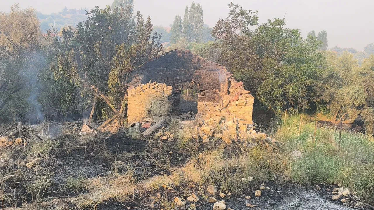 Orman yangınlarında asıl tehlike yeni başlıyor! Mikdat Kadıoğlu tarih ve saat verdi: İşte riskli dönem!